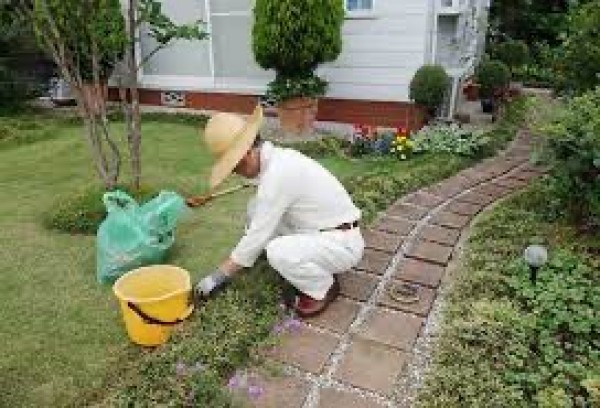 ギックリ腰と庭仕事：安全な方法